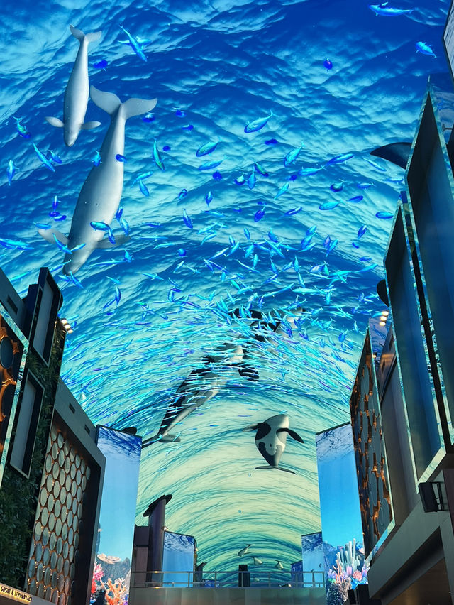 인천 인스파이어 리조트 고래쇼🐳보고 실내 데이트