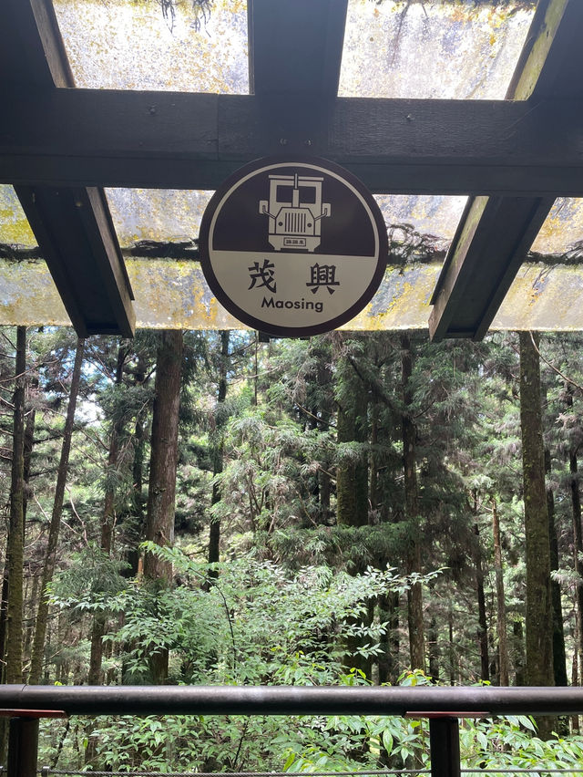 台灣宜蘭/太平山懷舊蹦蹦車🚂🚂
