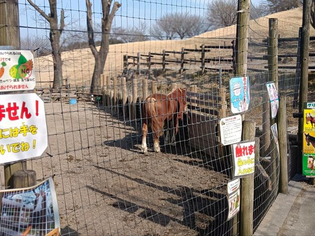 日本群馬自由行 伊香保綠色牧場
