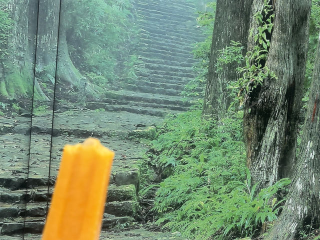 那智瀑布：自然的壯麗 🌊🍦