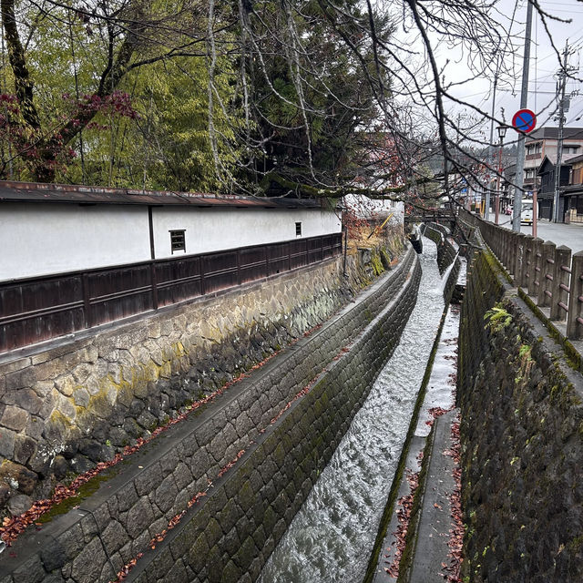 Wandering Through Time in Takayama: A Day of Calm in the Japanese Alps 🏔️🍁