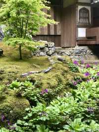Spring Outing: Kochidani Amida-ji Temple