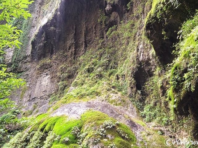 【中国】まるで精霊の住処！「張家界大峡谷」