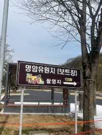 자연 속 힐링 산책, 청주 명암유원지에서 보내는 여유로운 하루🌿☀️