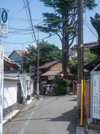 のんびり谷根千スナップ、どこを切り取っても絵になる風景📷