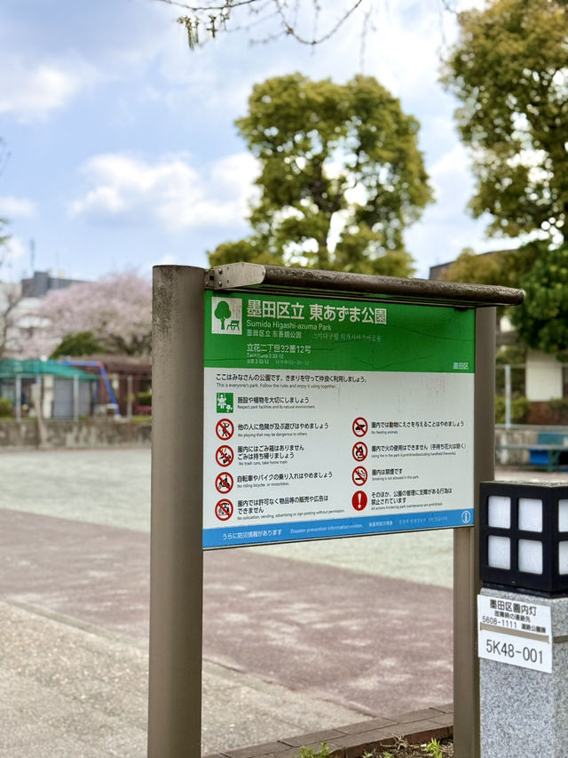 Chill Spring Vibes at Higashiazuma Park🌸