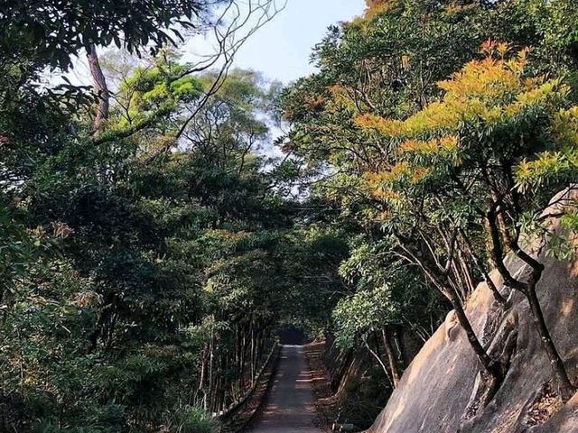 Lion Rock Viewing Point