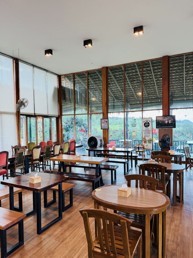 ไร่ชา 1000 ไมล์ – แวะพักชิมชา กาแฟ สไตล์ชิลๆ