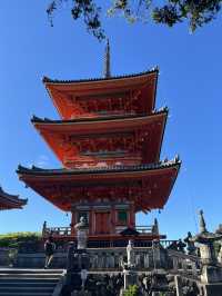 京都5間氣氛好、能量強的神社！感覺有點不一樣吧～