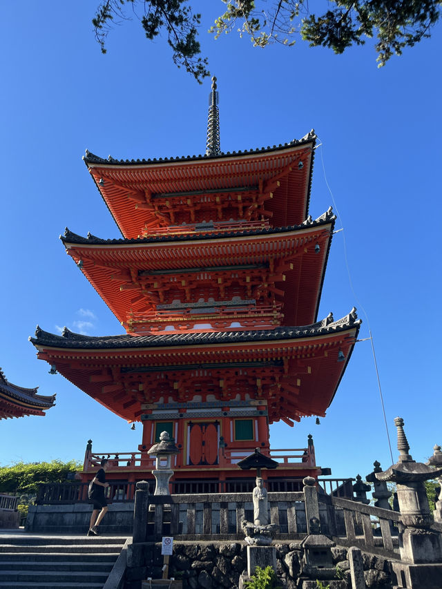 京都5間氣氛好、能量強的神社！感覺有點不一樣吧～