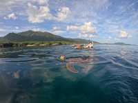 【石垣島】リアルリトルマーメイドの世界🪸🐠