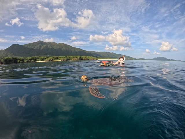 【石垣島】リアルリトルマーメイドの世界🪸🐠