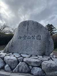 頂上には写真映えスポットが！！！❤️