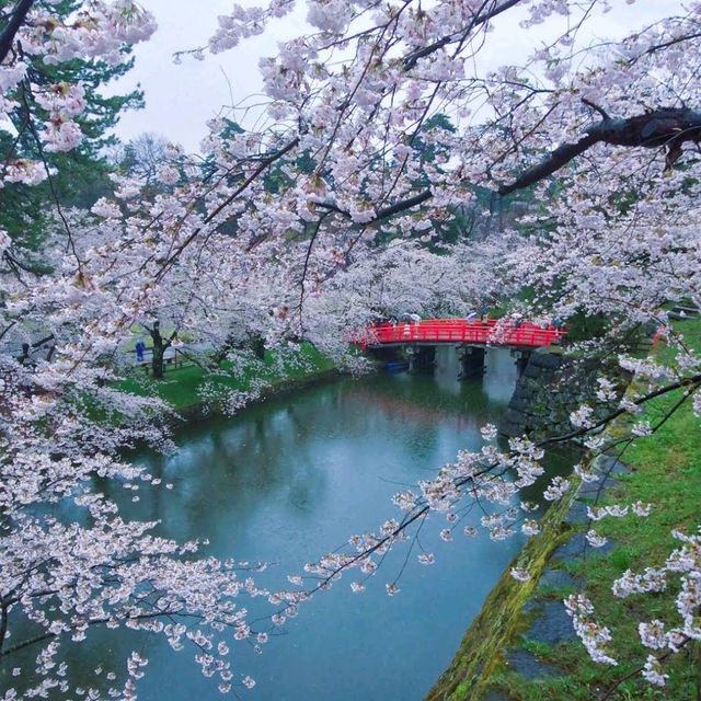 Hirosaki Park, Aomori