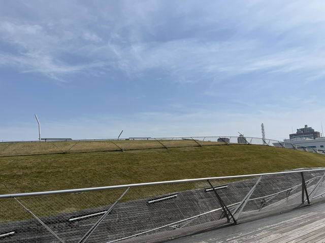 横浜🇯🇵くじらのせなか