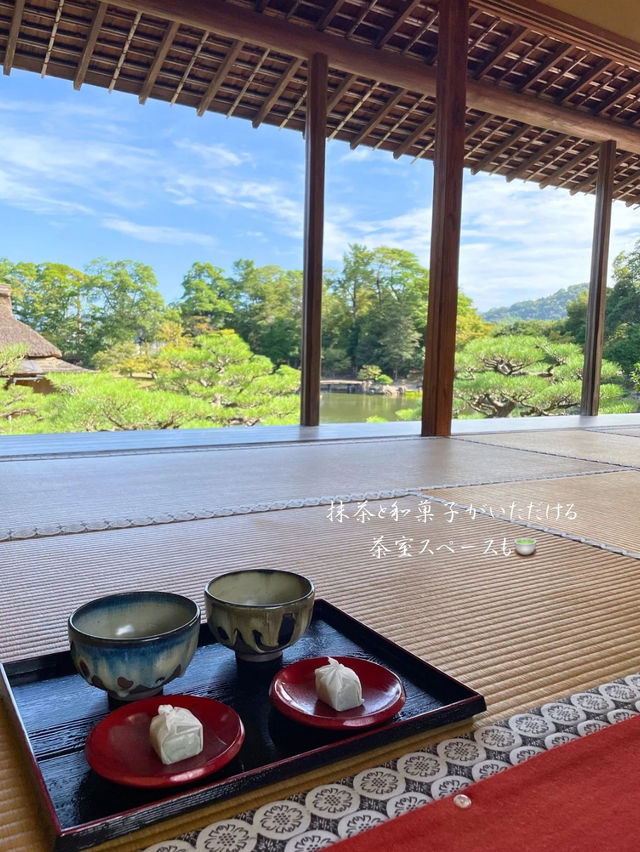 ひこにゃんで有名なお城🏯国宝 彦根城に行ってきた！