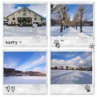 北海道旅遊🥳參觀富田農場😍免費任玩迷你雪兜場🤣刺激好玩🥰欣賞大自然雪景❄️