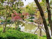 Hàoyuán Garden (滈园) – A Hidden Spring Gem in Shanghai 🌸⛩️🌿