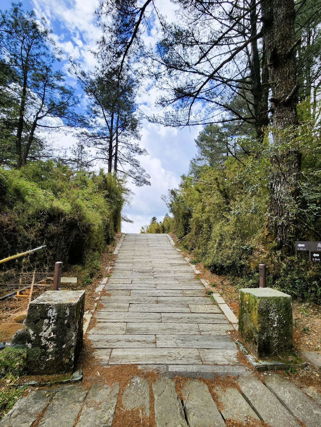 塔塔加的熱門山～麟趾山輕鬆走