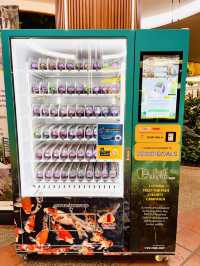 “Breathe Deep, Go Green: The Rainforest Within 1 Utama”