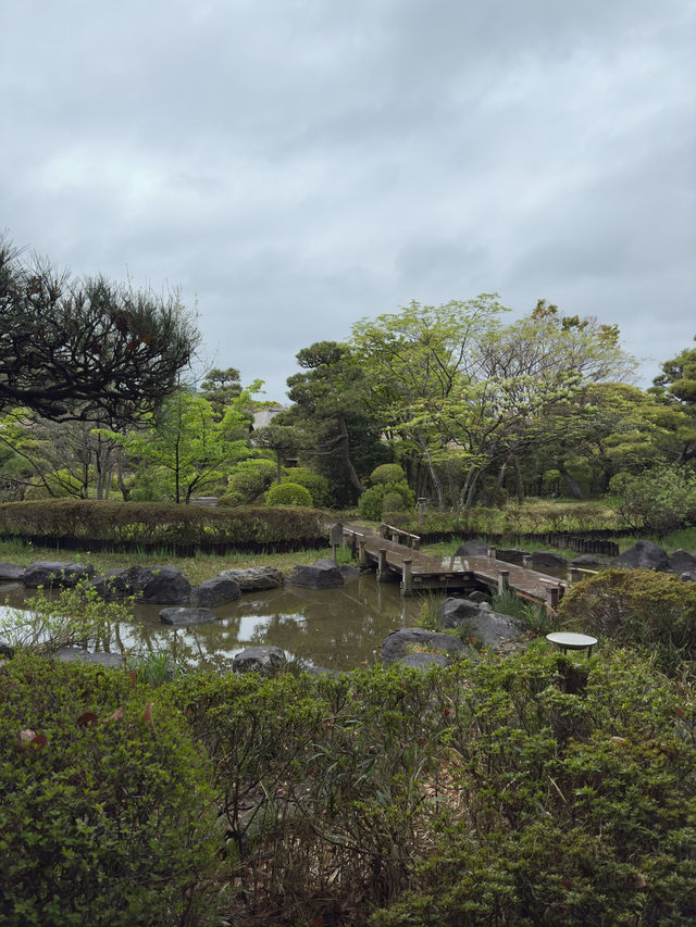 東京｜新宿御苑與江戶川平成庭園一日遊