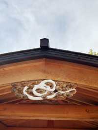 【東京⛩️蛇窪神社】巳年🐍巳の日に訪れたい‼️パワースポット