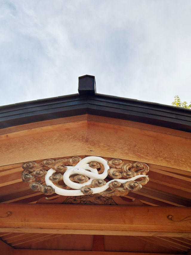 【東京⛩️蛇窪神社】巳年🐍巳の日に訪れたい‼️パワースポット