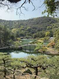A Journey Through Innovation, History, and Beauty: Kansai and Beyond