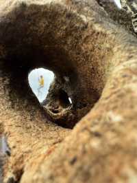 Stone Garden Citatah 