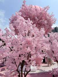 深圳偽櫻花商場🌸拍照📷