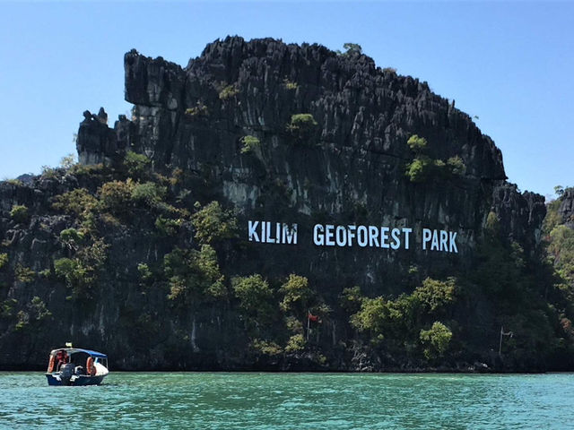 🌿🚤 Kilim River Cruise Review: A Mangrove Adventure in Langkawi!