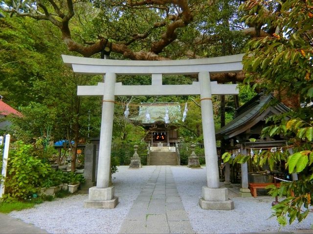 【鎌倉】鳥居の前を電車が横切る🚃御霊神社