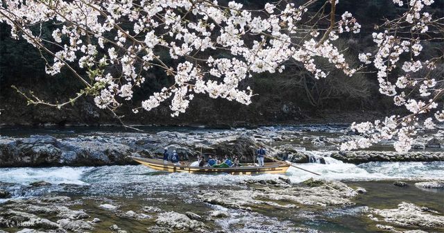🚣♂️🌿 Hozugawa River Boat Ride: Kyoto’s Wildest (and Chillest) Adventure! 🌿🚣♂️