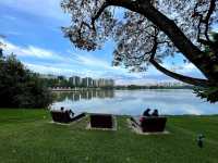 🌿 Escape to Nature: A Perfect Day at Jurong Lake Gardens, Singapore  
