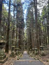 IG爆紅《螢火之森》知名場景之一「上色見熊野座神社」看點 交通 美食攻略