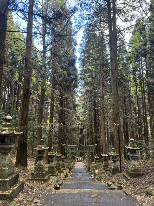IG爆紅《螢火之森》知名場景之一「上色見熊野座神社」看點 交通 美食攻略