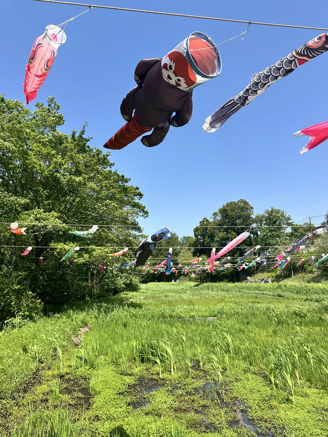 GWここにいこう！花畑【神奈川】