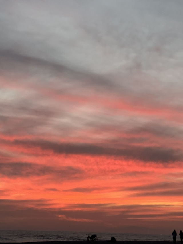 🌊 Newport Beach, 캘리포니아의 럭셔리 해변! 