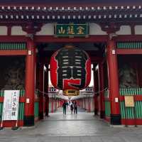 “Sensoji in Bloom: Tokyo’s Timeless Temple Amid Cherry Blossoms”