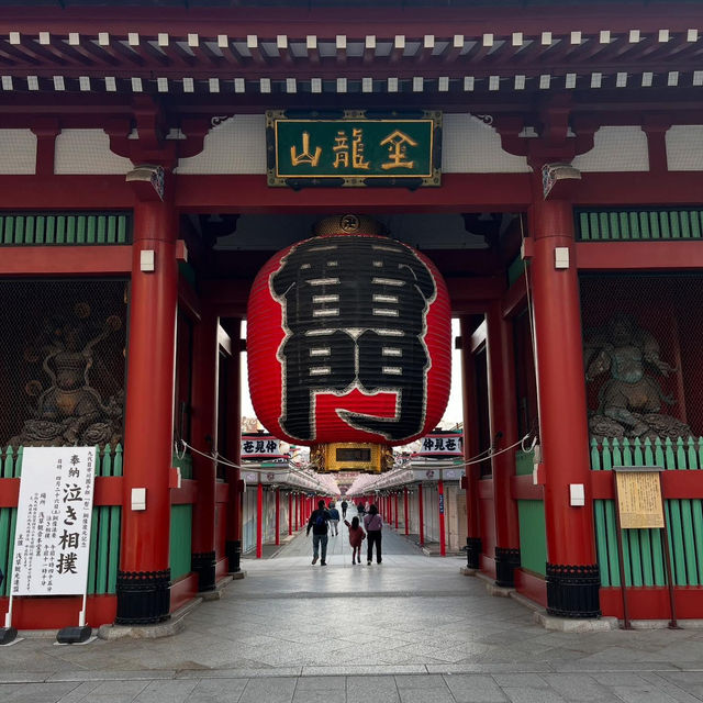 “Sensoji in Bloom: Tokyo’s Timeless Temple Amid Cherry Blossoms”