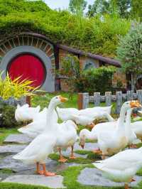 furry friends in the heart of Ratchaburi