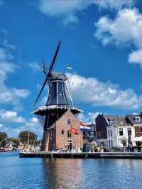 🇳🇱네덜란드 풍차 마을 | 잔세스칸스(Zaanse Schans) 당일치기 여행