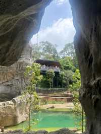 Rainforest Wild Asia – A Hidden Gem for Nature Enthusiasts