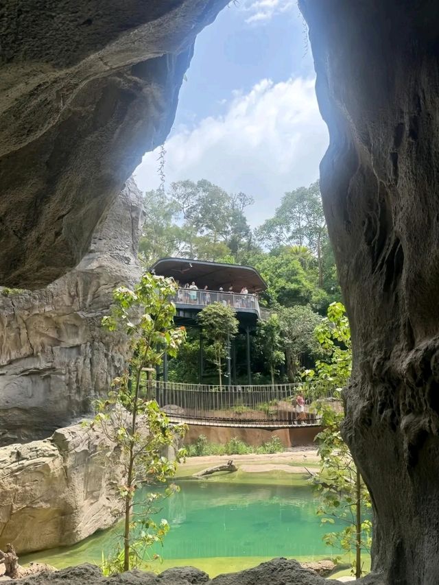 Rainforest Wild Asia – A Hidden Gem for Nature Enthusiasts