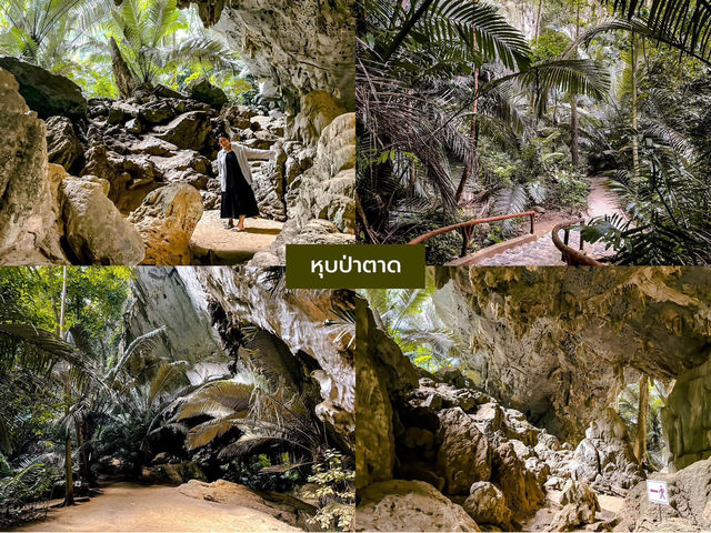 11 พิกัดที่ อุทัยธานี 🌳