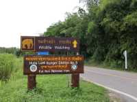 ซาฟารีกลางป่าไทยในอุทยานแห่งชาติกุยบุรี