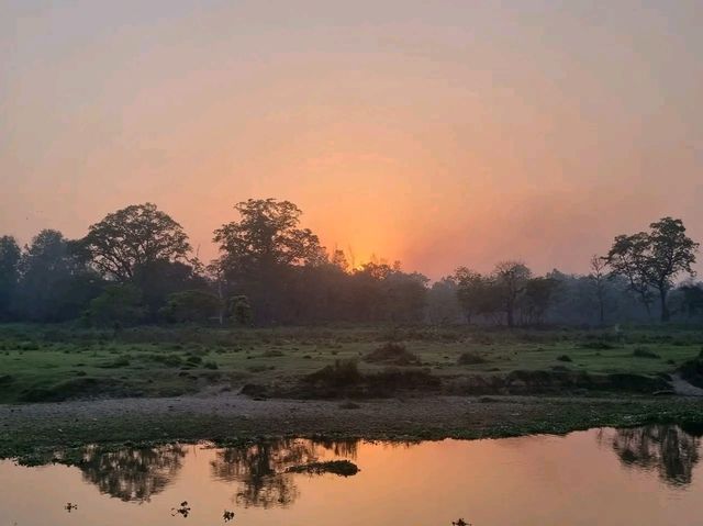 Chitwan National Park: Nepal’s Wild Treasure Chitwan National Park: Nepal’s Wild Treasure