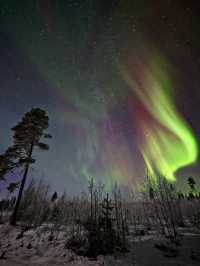 The Ultimate Arctic Wonderland