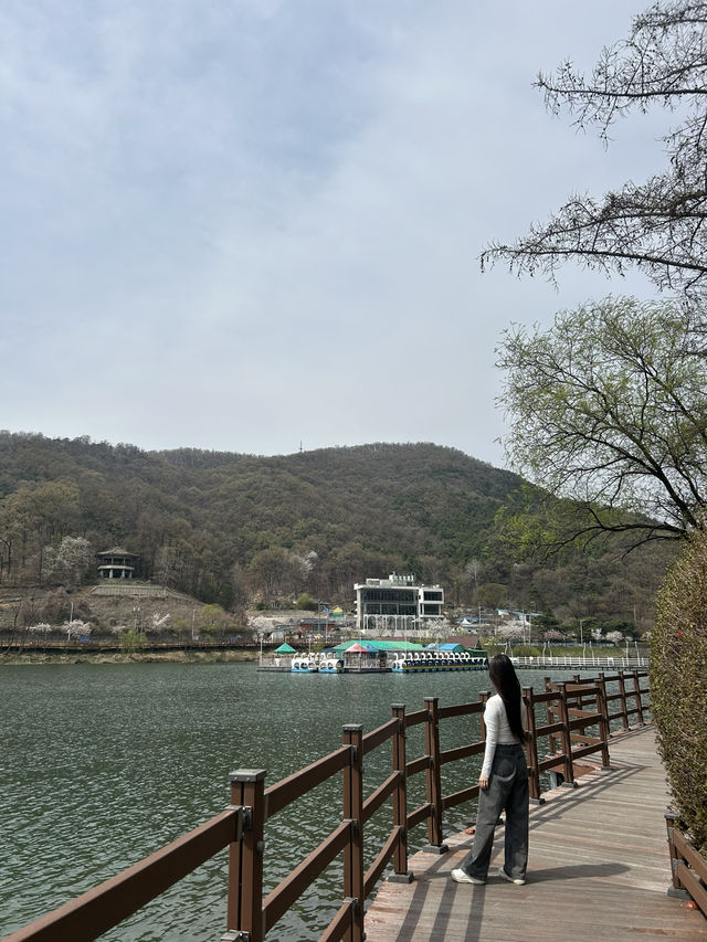 청주 명암저수지, 힐링 산책 데이트 추천🤍🍀🌱