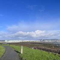 Something different to do in SFO Long Layover with Spectacular Aviation view & Bayfront Walk.